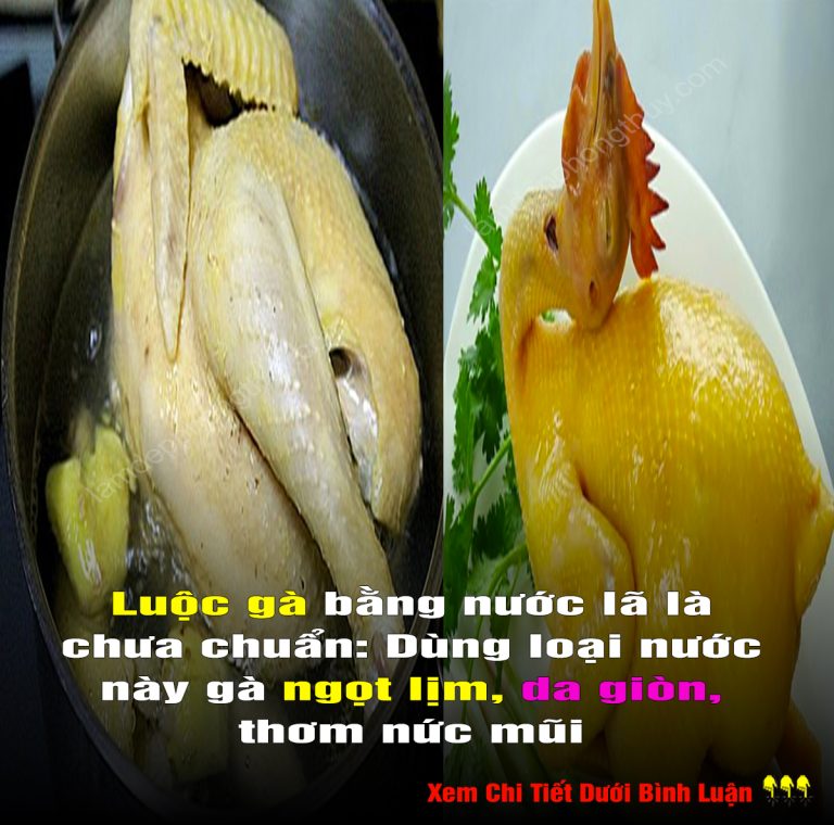 Luộc gà bằng nước lã là chưa chuẩn: Dùng loại nước này gà ngọt lịm, da giòn, thơm nức mũi