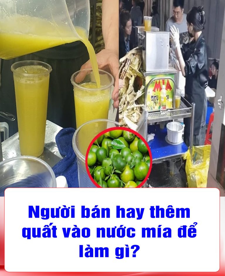 Người bán hay thêm quất vào nước mía để làm gì?