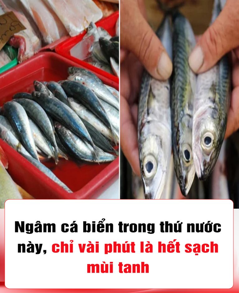 Ngâm cá biển trong thứ nước này, chỉ vài phút là hết sạch mùi tanh