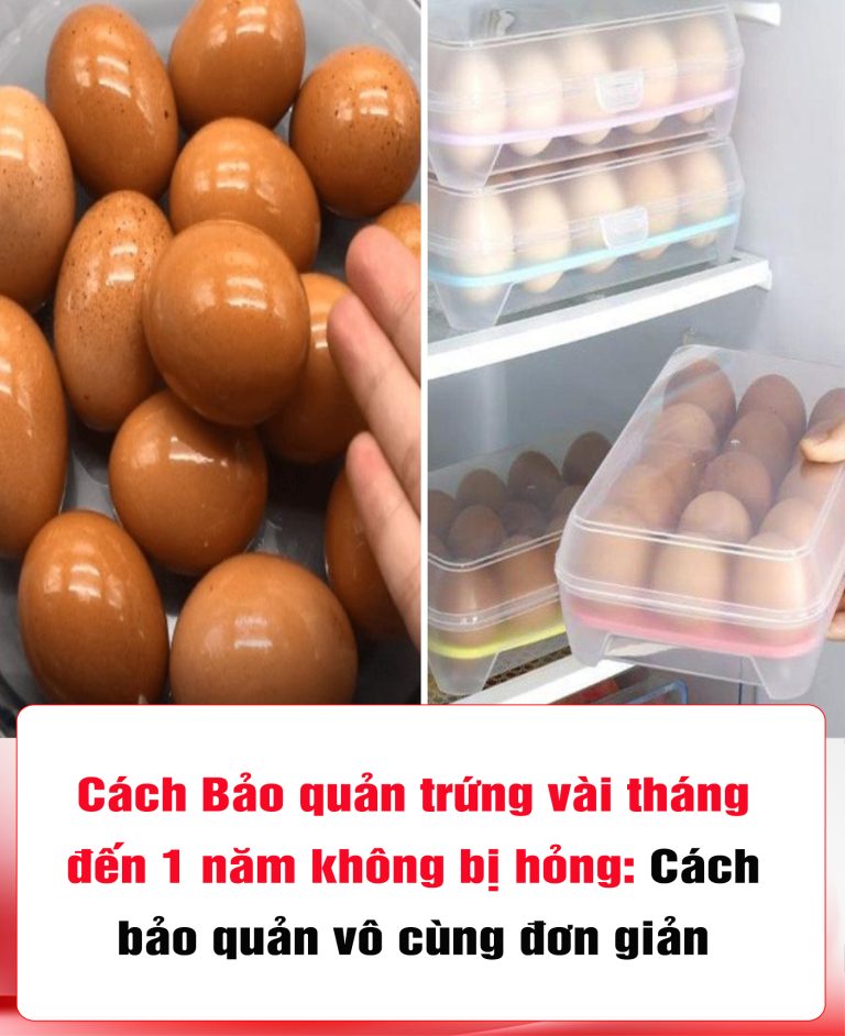 Bảo quản trứng vài tháng đến 1 năm không bị hỏng: Cách bảo quản vô cùng đơn giản