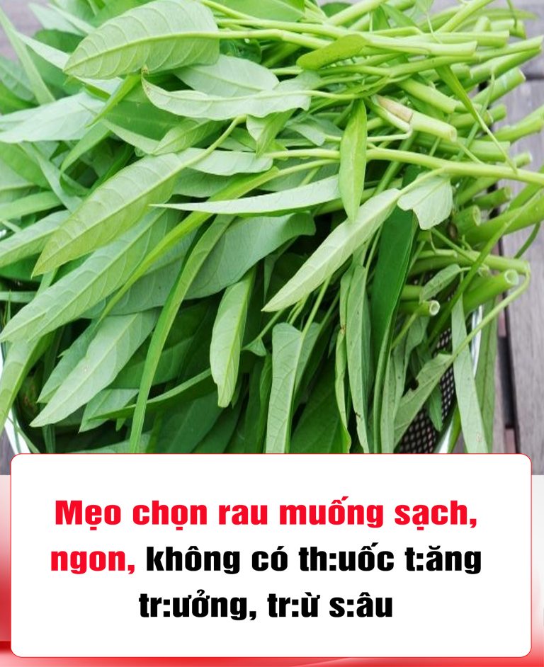 Mẹo chọn rau muống sạch, ngon, không có thuốc tăng trưởng, trừ sâu