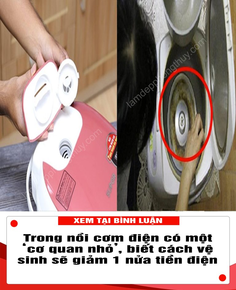 Trong nồi cơm điện có một ‘cơ quan nhỏ’, biết cách vệ sinh sẽ giảm 1 nửa tiền điện