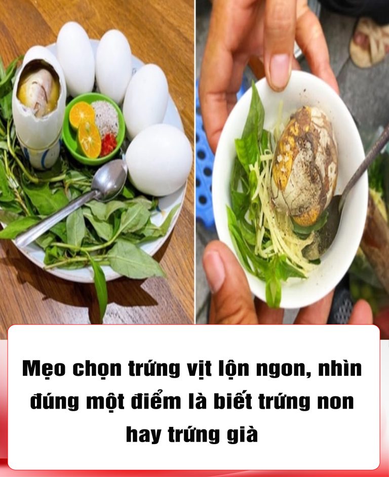 Mẹo chọn trứng vịt lộn ngon, nhìn đúng một điểm là biết trứng non hay trứng già