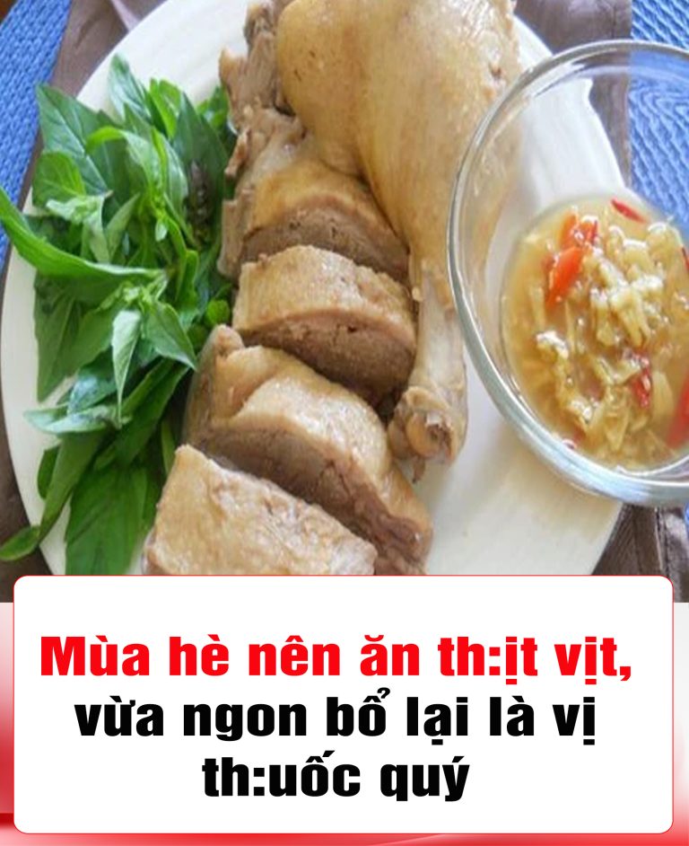 Mùa hè nên ăn th:ịt vịt vừa ngon bổ lại là vị th:uốc quý