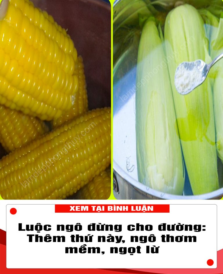 Luộc ngô đừng cho đường: Thêm thứ này, ngô thơm mềm, ngọt lừ