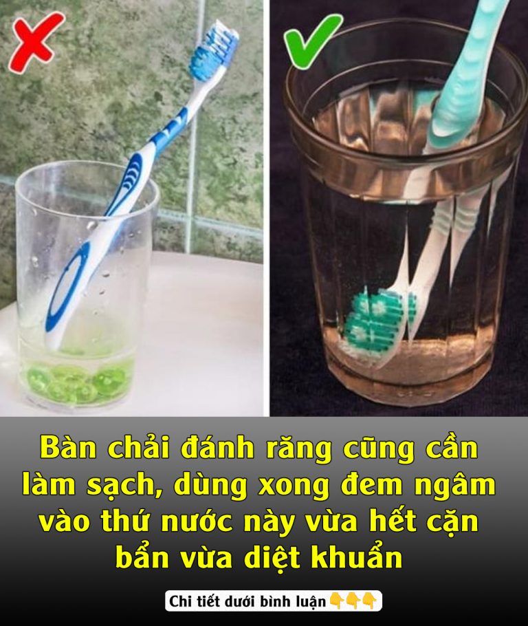 Bàn chải đánh răng cũng cần làm sạch, dùng xong đem ngâm vào thứ nước này vừa hết cặn bẩn vừa diệt khuẩn