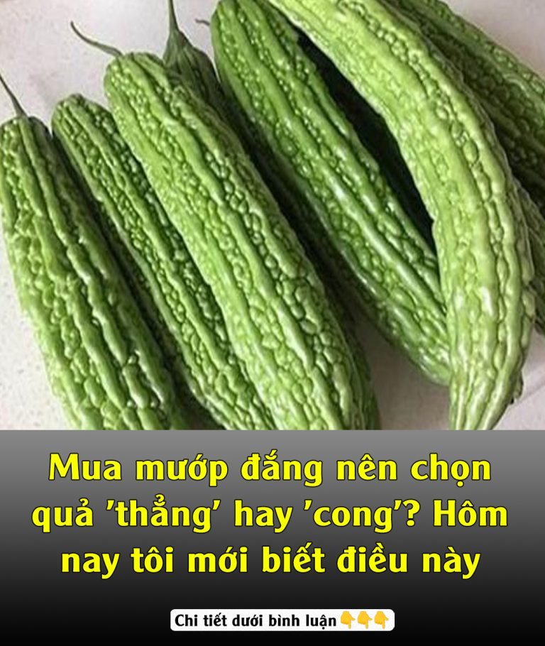 Mua mướp đắng nên chọn quả ‘thẳng’ hay ‘cong’? Hôm nay tôi mới biết điều này