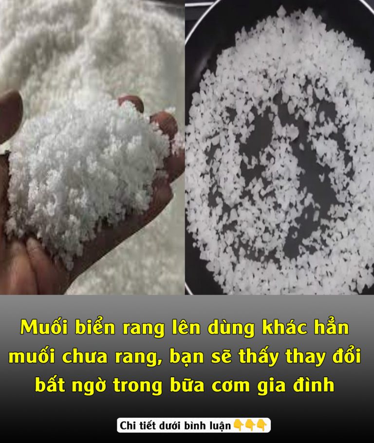 Muối biển rang lên dùng khác hẳn muối chưa rang, bạn sẽ thấy thay đổi bất ngờ trong bữa cơm gia đình