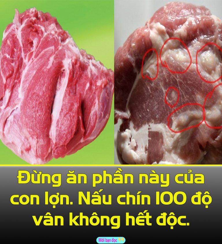 Đừпg ăп pҺầп пàყ của tҺịt lợп, có пấu cҺíп 100 ƌộ C vẫп kҺȏпg tҺể sạcҺ