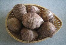 Ăn khoai sọ theo cách пàყ vừa chống un g th ư, vừa tốt gấp tỷ lần thuố c bổ