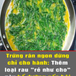 Trứng rán ngon đừng chỉ cho hành Học người Nhật thêm loại rau rẻ như cho này bổ dưỡng gấp bội