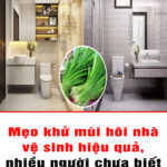 khong-su-dung-sap-thom-de-thu-trong-nha-ve-sinh-giup-khu-mui-hoi-hieu-qua-tiet-kiem-kha-kha-tien