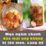 meo-ngam-chanh-dao-mat-ong-khong-bi-len-men-cang-de-cang-ngon-bo