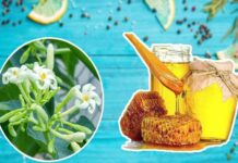 Hoa đu đủ đực ngâm cùng thứ này ‘quý như vàng’: Lợi ích tuyệt vời nhà nào cũng cần