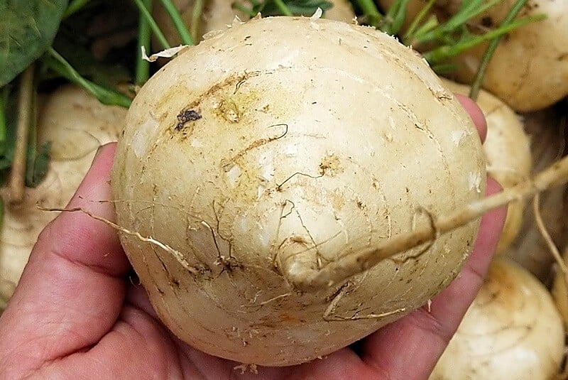 an-cu-dau-buoi-toi-co-beo-khong-5