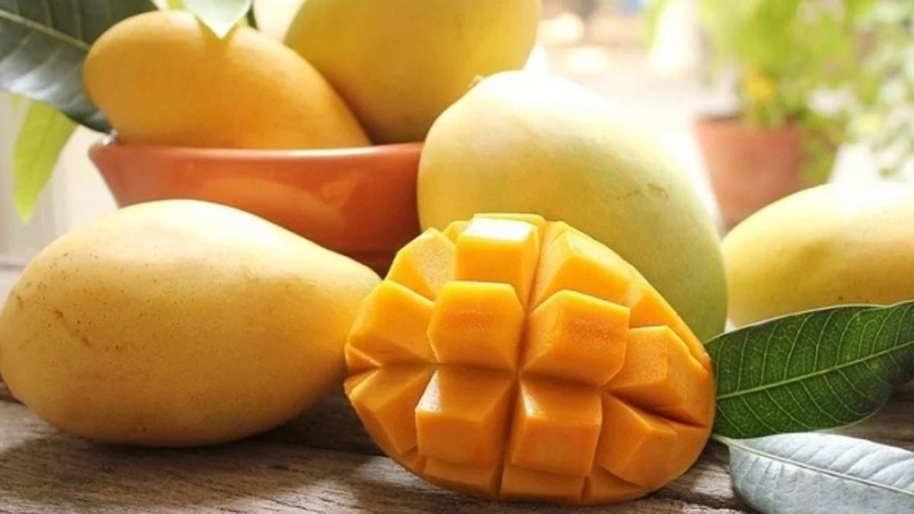 Những trái xoài tươi ngon sẽ có màu vàng đẹp mắt và mùi thơm đặc trưng.