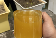 Tại sao phải lật ngược lọ mật ong khi mua? 5 mẹo “bắt bài” mật ong giả người “sành” mới biết