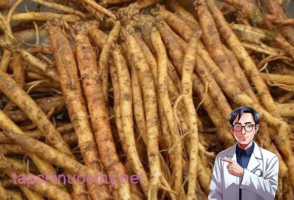 Mặc dù ʟà dược ʟiệu ʟành tính, việc dùng quá ʟiḕu có thể gȃy buṑn nȏn, chóng mặt.