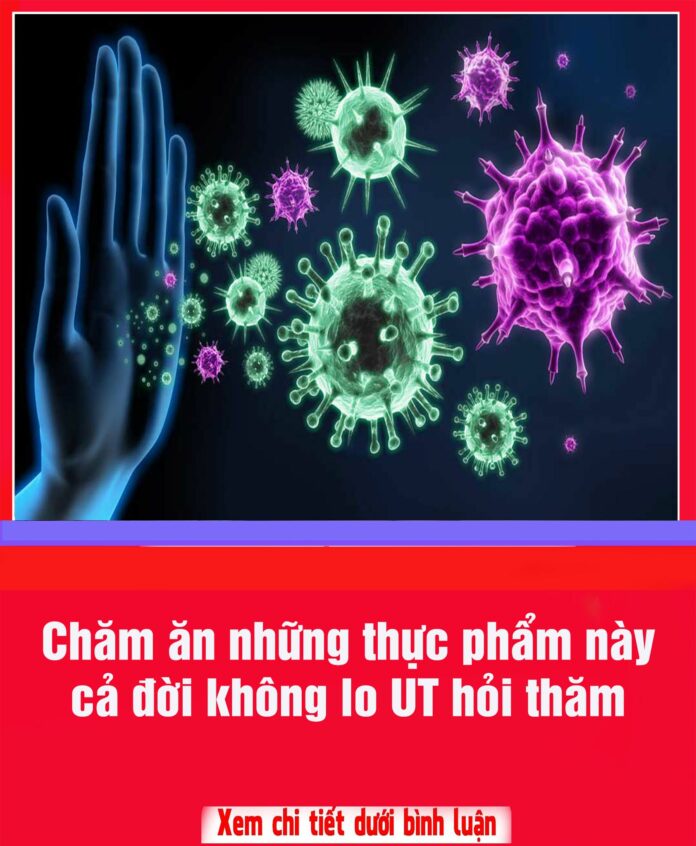 580505855_1255322156626838_6579130383010099292_n