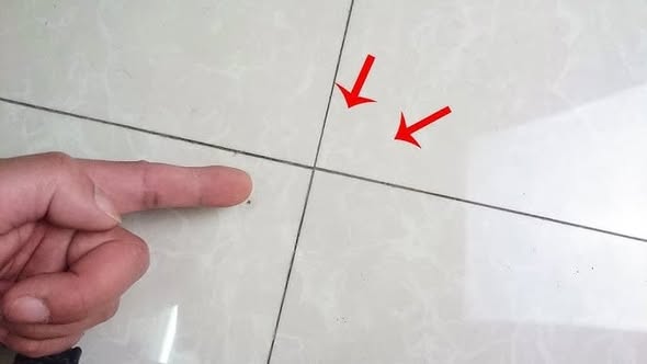 Khe gạch ốp trong phòng tắm bám cặn bẩn Chỉ bạn 5 mẹo làm sạch hiệu quả, chà nhẹ là sáng bóng như mới