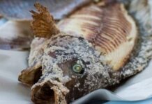 Giật mình 2 loại cá nhiều người Việt vẫn ăn mỗi tuần, hóa ra tiềm ẩn nguy cơ ung thư cao