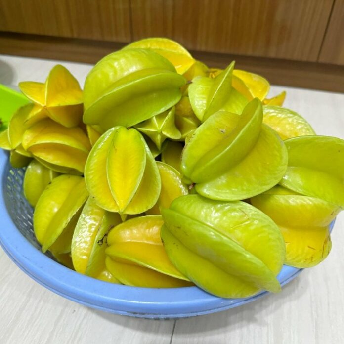 loai-cay-trong-lam-canh-xua-qua-rung-day-nay-lam-mon-dac-san-dan-thanh-pho-thich-me-dip-tet-130000-d-c1-1706368741-448-width780height780