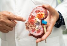 1 phút tự “SOI THẬN” tại nhà, khỏe hay yếu nhìn là biết: Lời khuyên từ “thầy thuốc thế hệ vàng” 40 năm kinh nghiệm