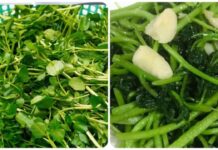 Loại ɾɑu chống ung thư ƌược Mỹ ƌánh giá tốt nhất thế giới: Việt Nɑm có ƌầy ngoài chợ, Ьán ɾẻ như cho