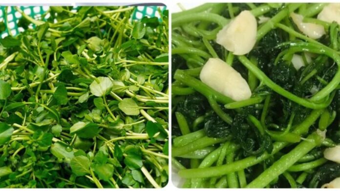 loai-rau-chong-ung-thu-duoc-my-d (1)